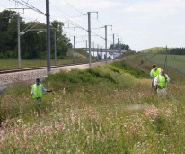 Traitement phytosanitaire